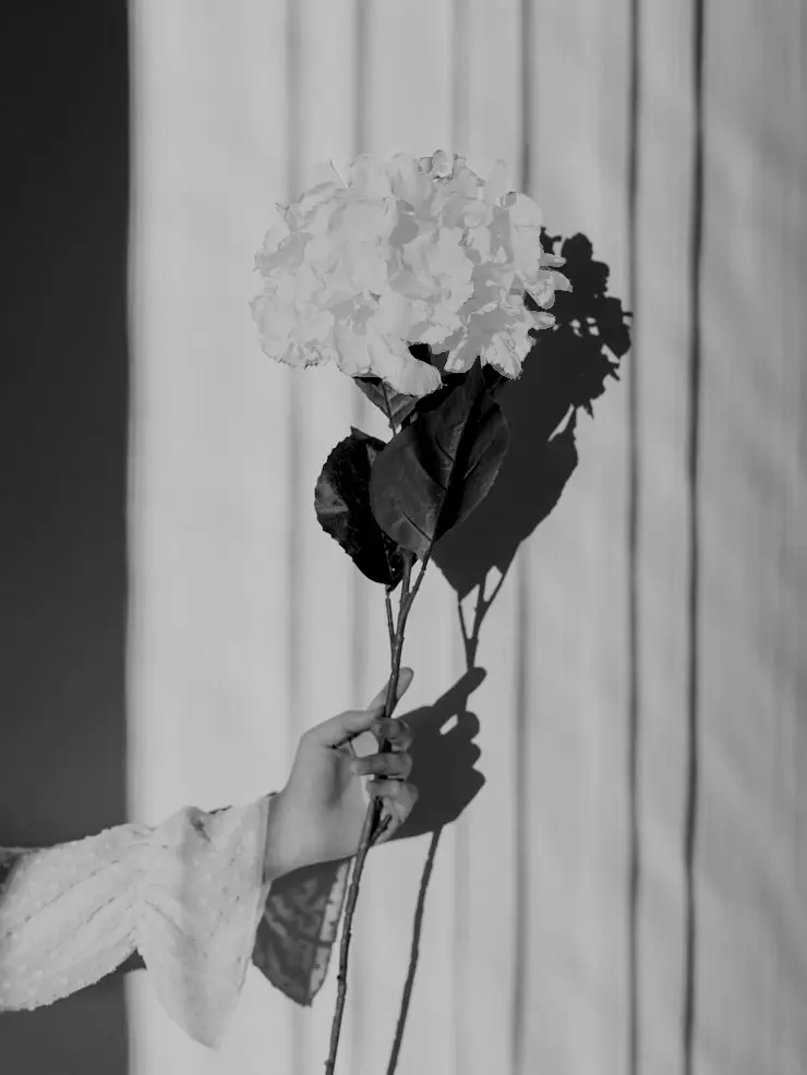 Heptagram0423.의 야산시체 유기사건