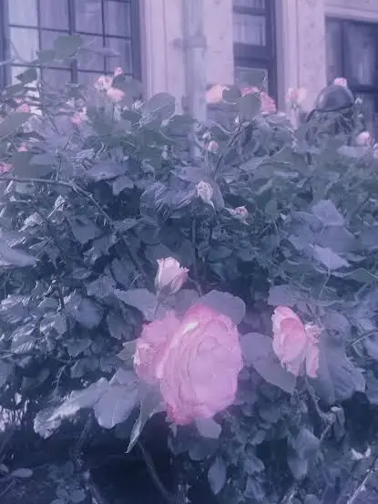 _xy0_3의 がくぱろとぉや⚔