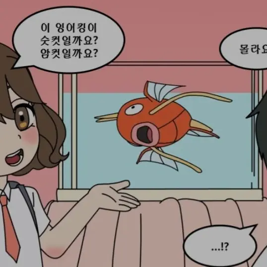 _s_의 갠용#천사#아키,잡식종