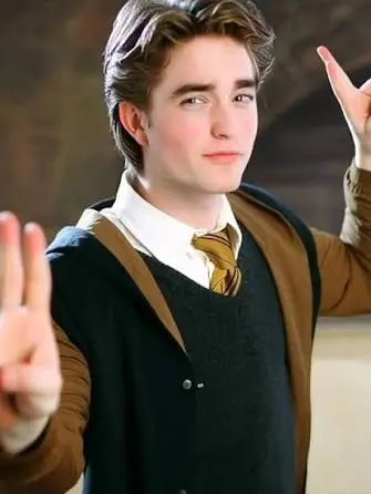 Maddog348의 Cedric Diggory