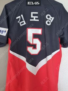 김도영 대표 이미지