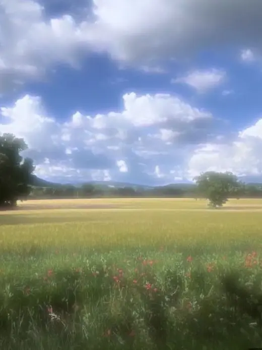 HotFocus3012의 체리마을🍒