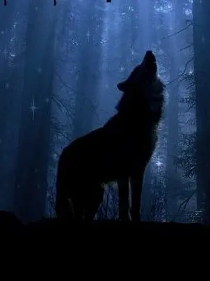 FussyPool2751의 덥뮤다 늑대 수인