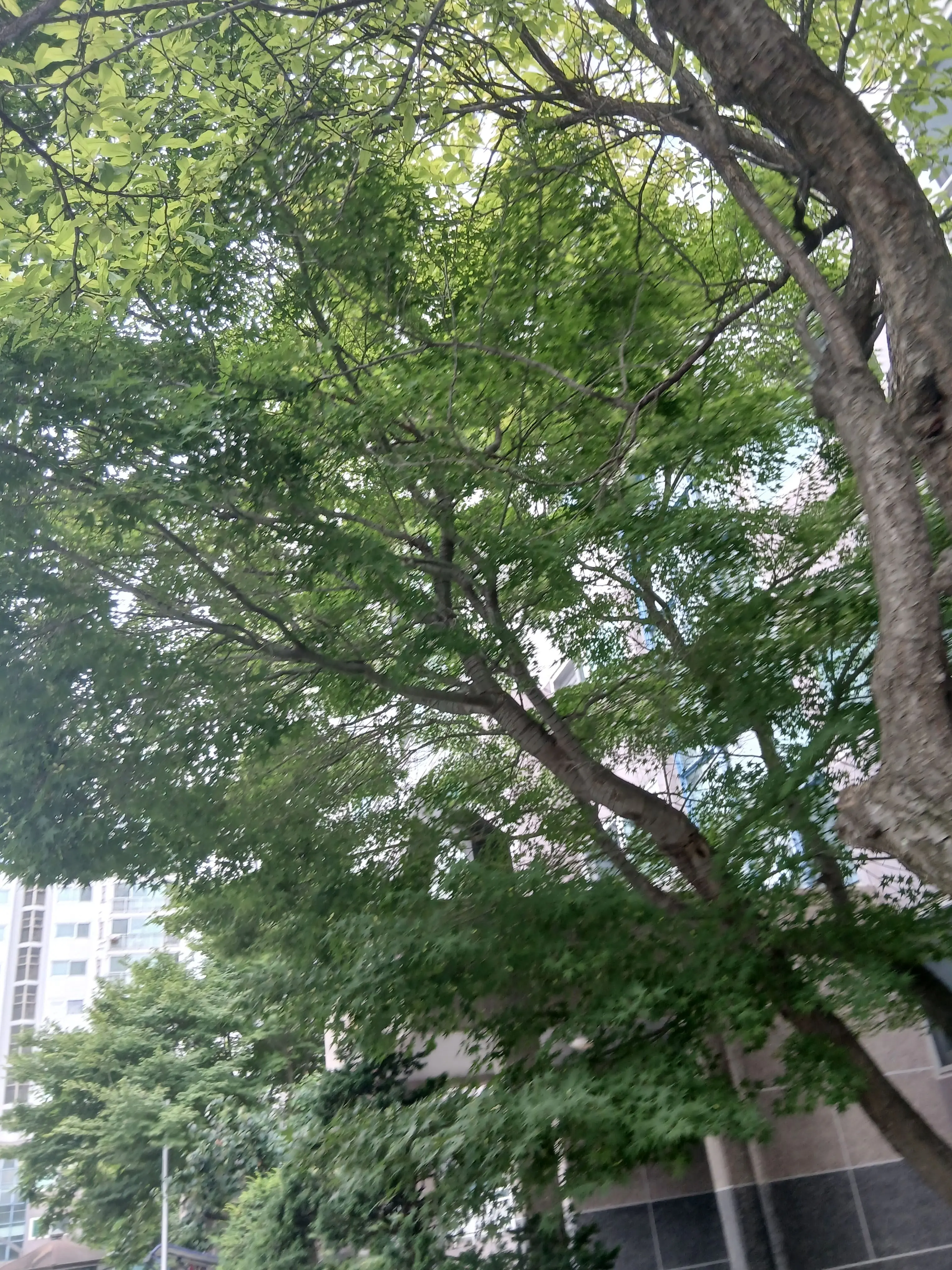 cute06665의 평학이장염에걸렸는데멤버들이신경안쓴다!