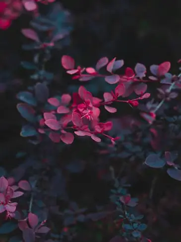 thankyou.1010의 룸메이트