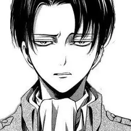 Aaaaaaaaaki의 리바이 아커만