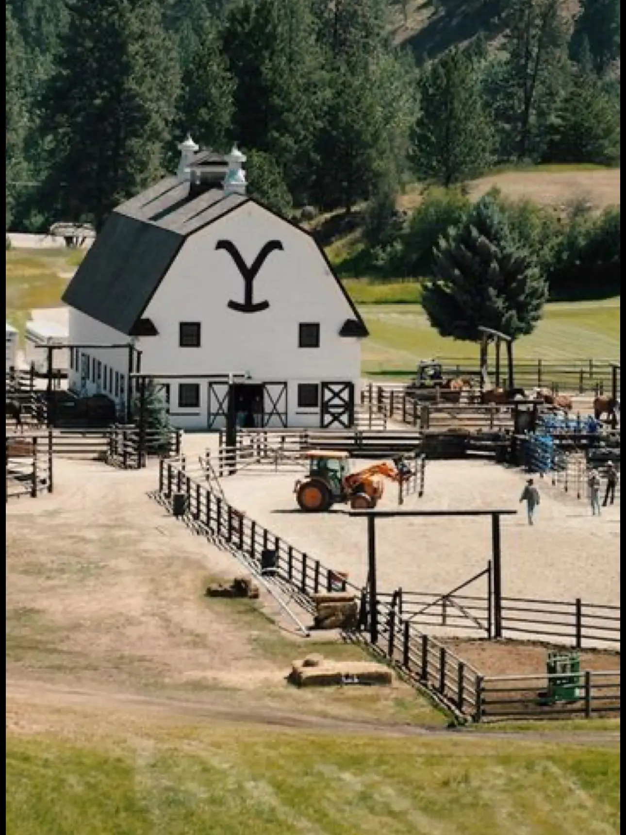 NastyCost5375의 RIPS LONG LOST SISTER