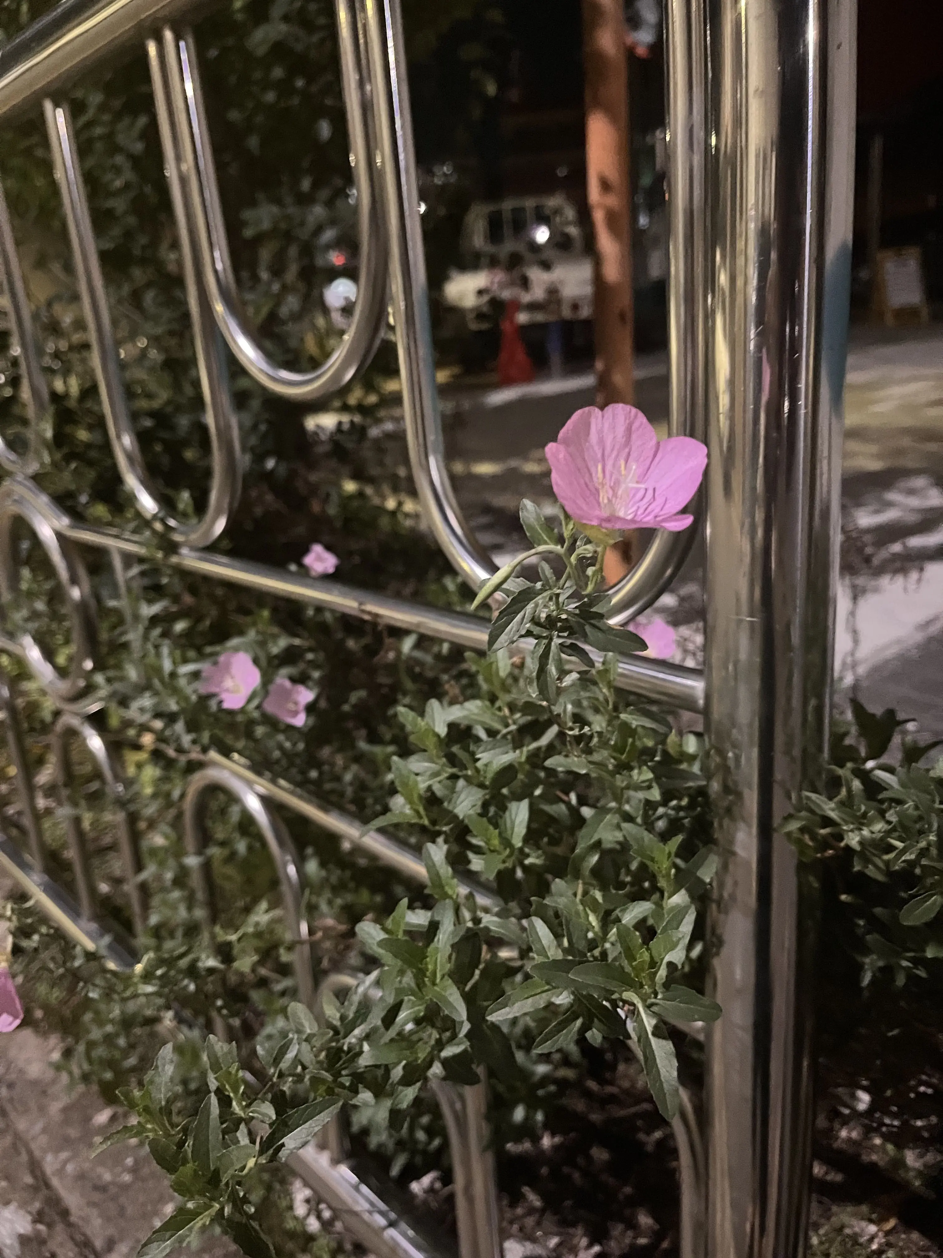 songchaemin1206의 산산히 조각나는 너를