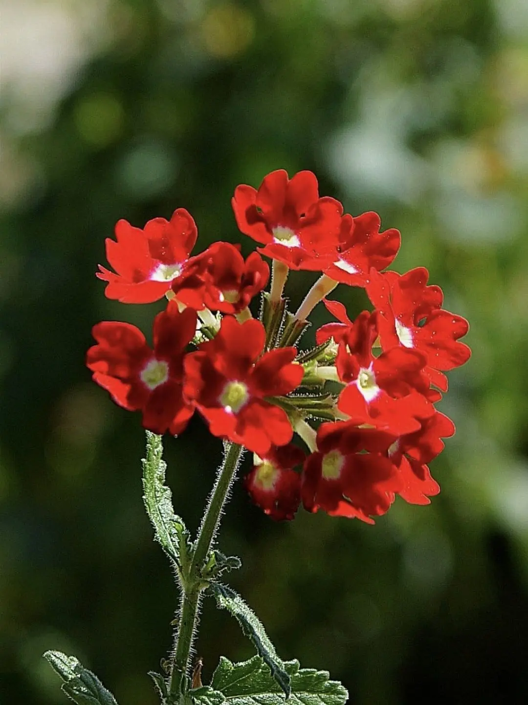 screwball_1의 "어린 날의 내 모습이 보였다."