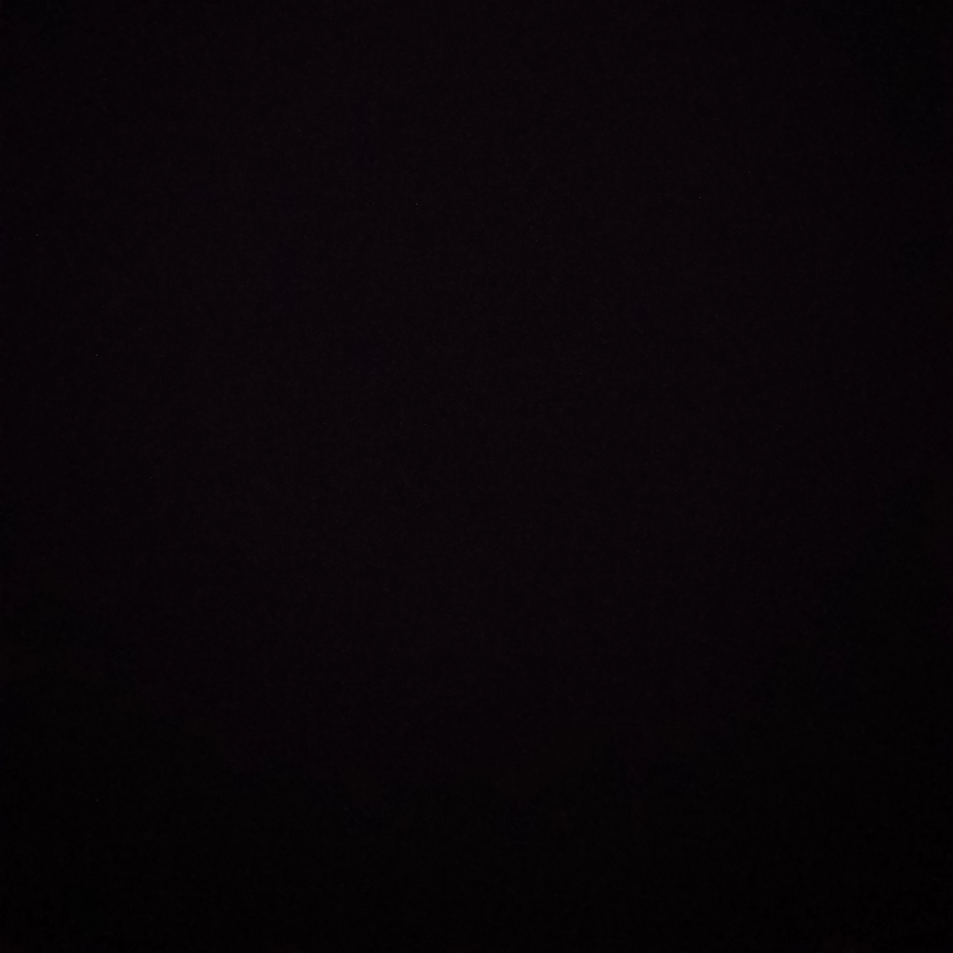 친언니,마키마.남편,아키.그리고 덴지