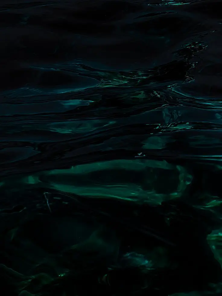 TautFort6372의 정략결혼