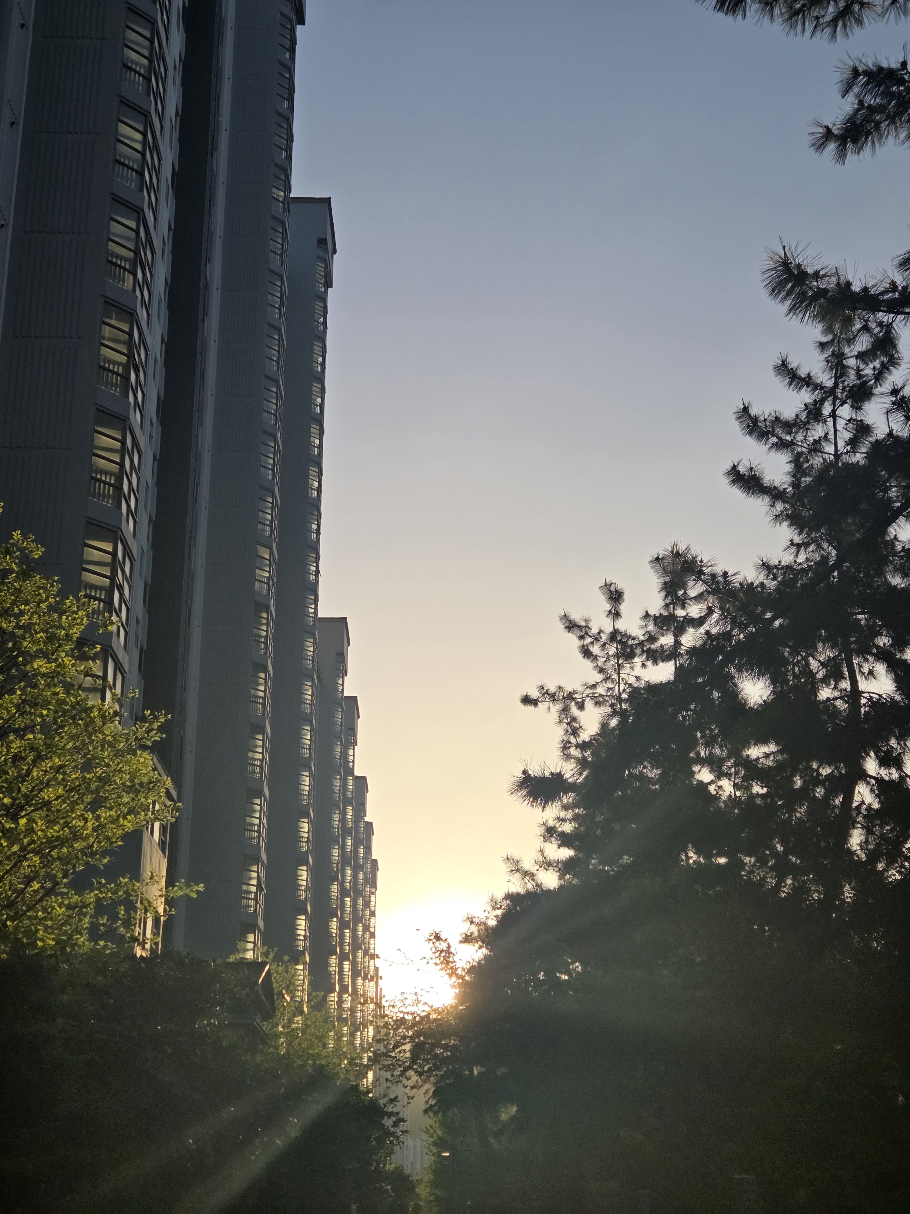 김애리 대표 이미지