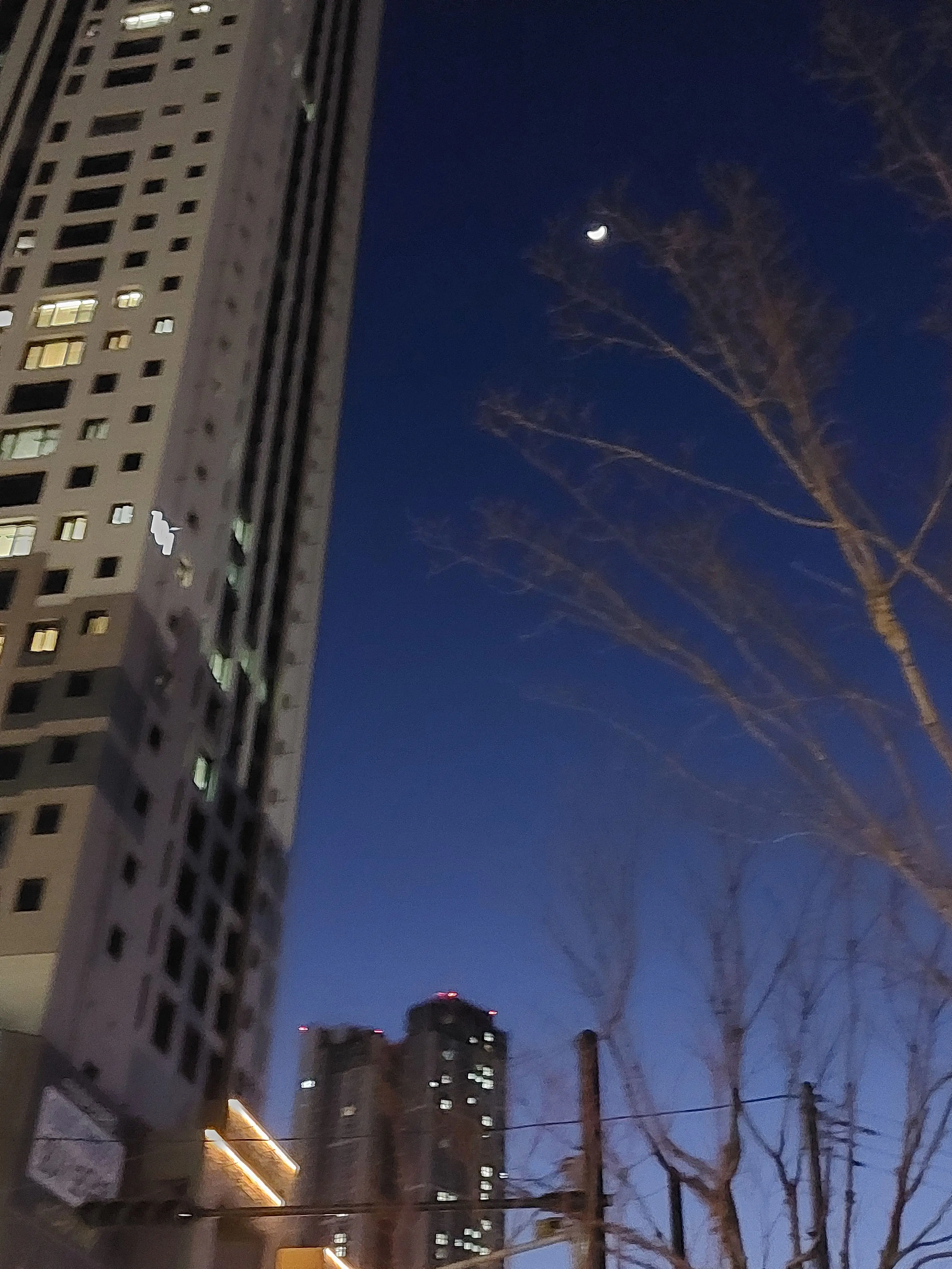 badluck의 어린 픽셀리를 돌봐라!