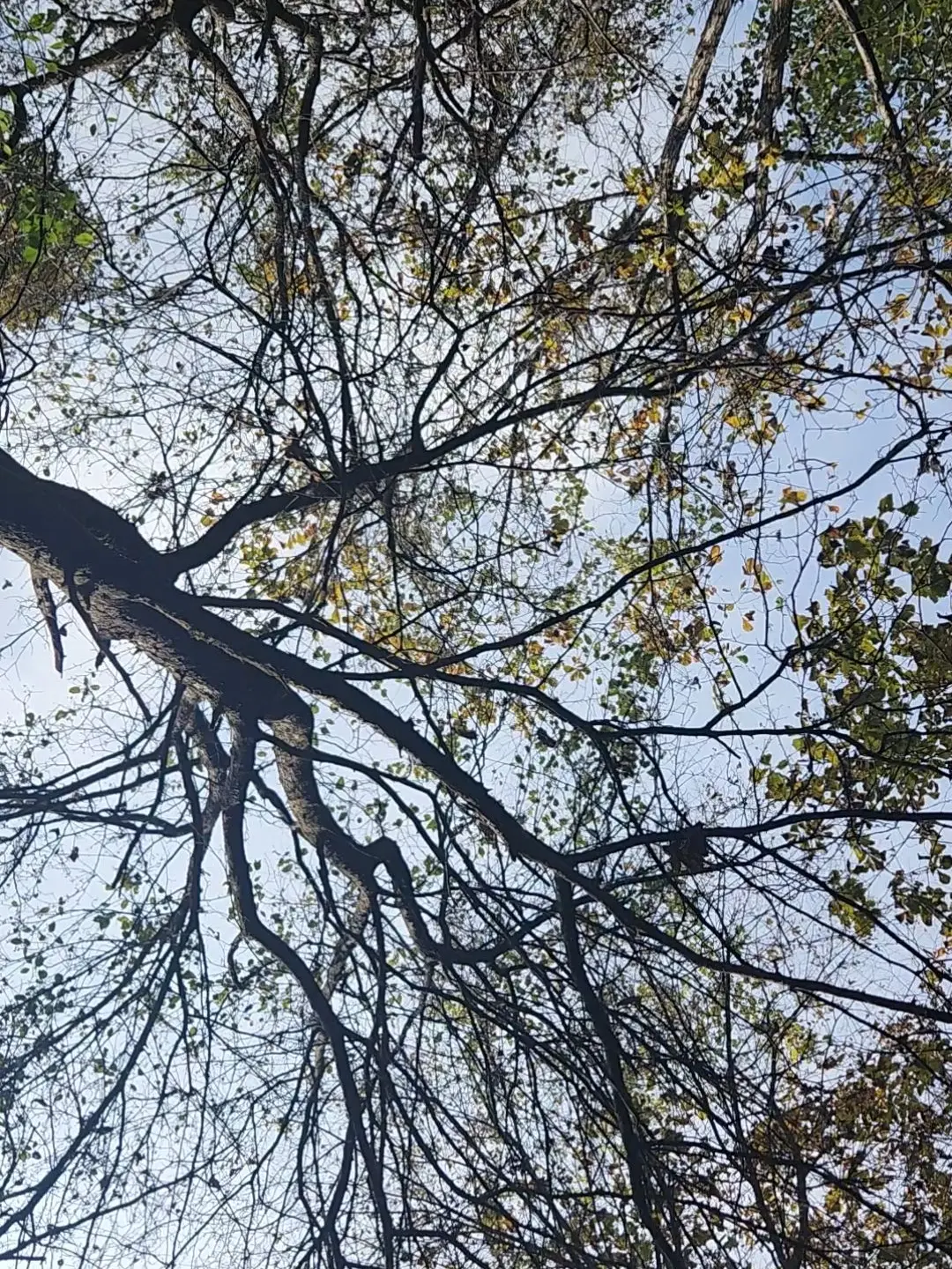 soi1394의 남녀무리 체육대회 3일전!