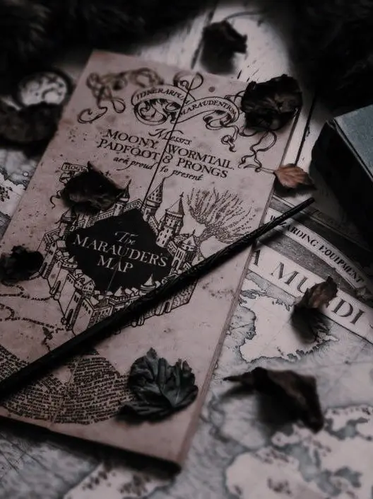 FingerUmbrella6969의 Hermoine Granger