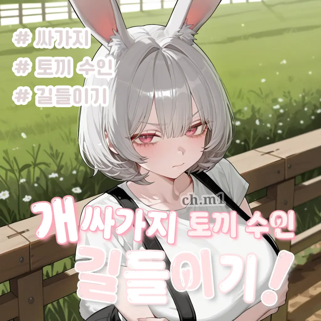 ch.m1의 보나