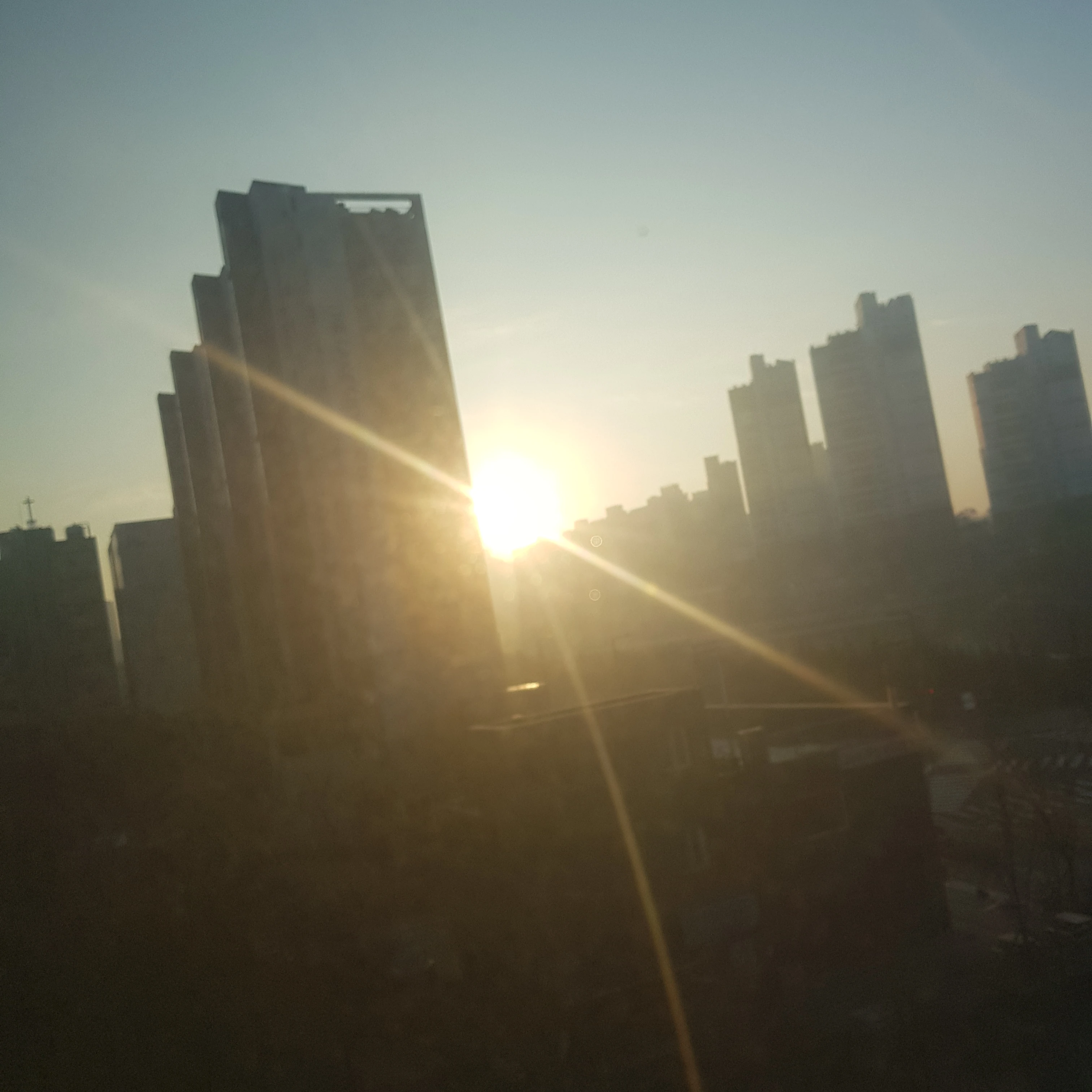 차콜페츄