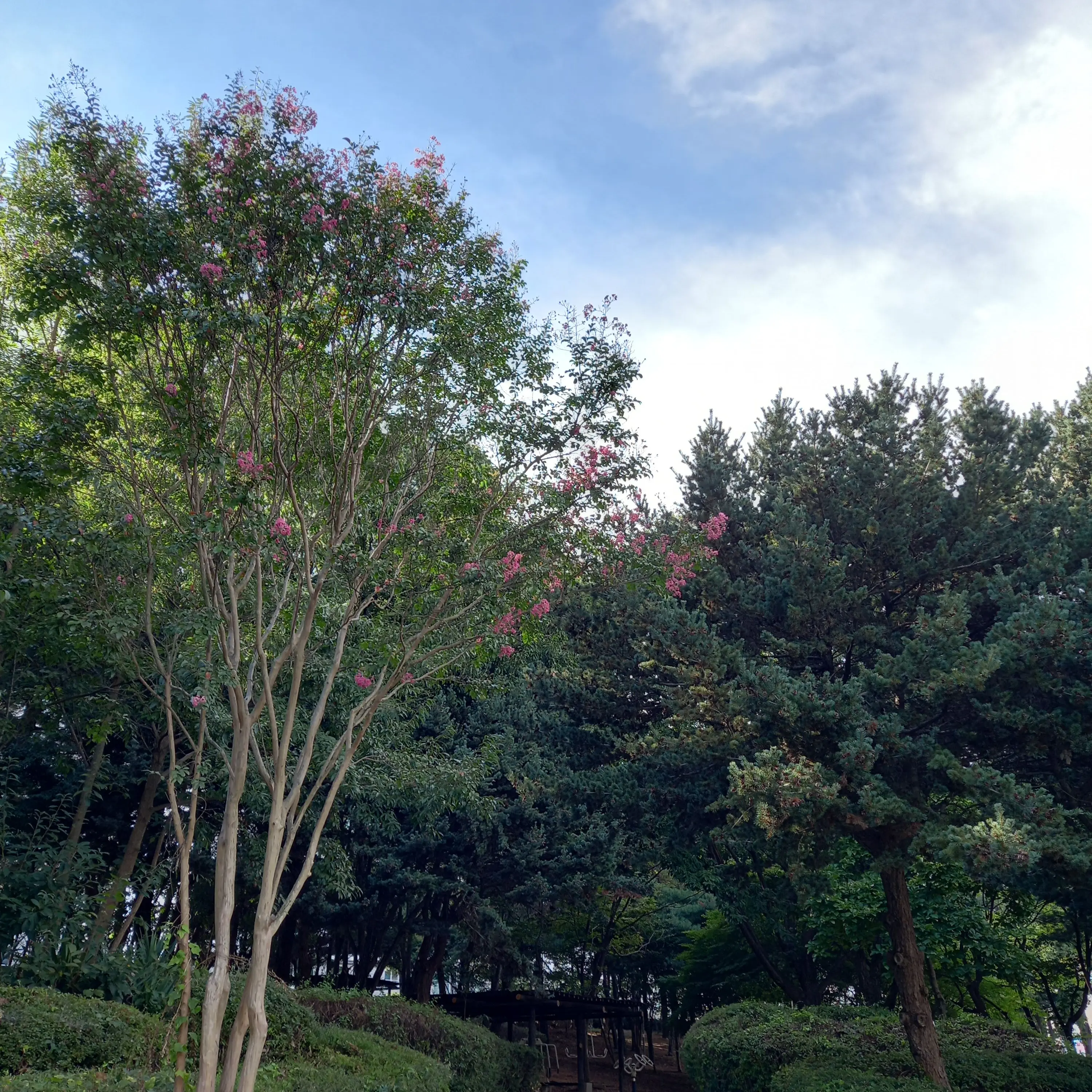 LameLip1468의 9만 공약