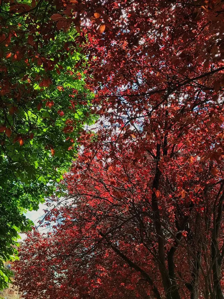 greenapplelove의 알하이탐