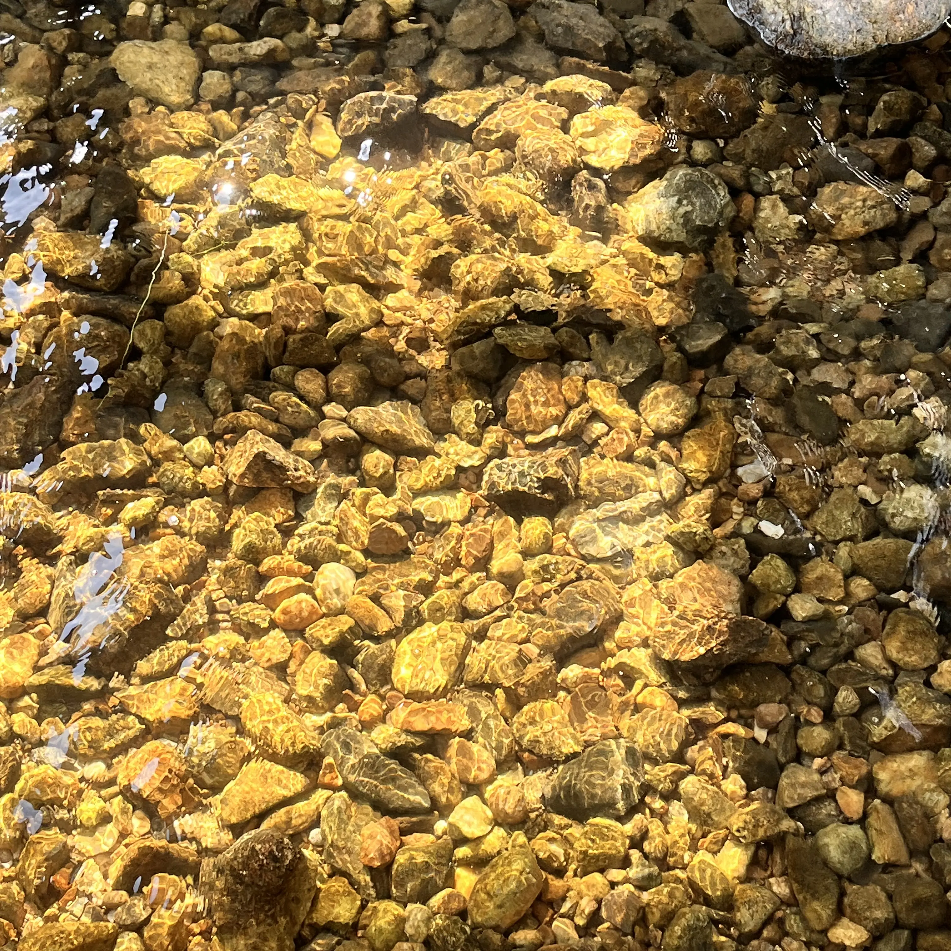 CrispyPlane3463의 최강의 실험채들 :3