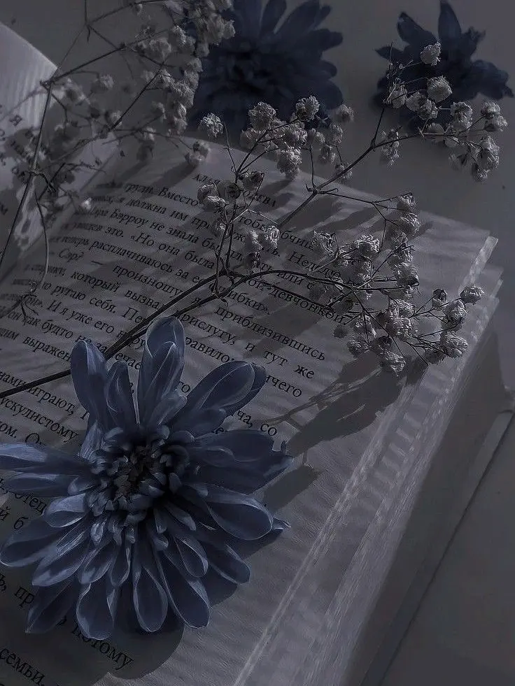 TautFort0219의 アンラッキーガールとマフィアのボス