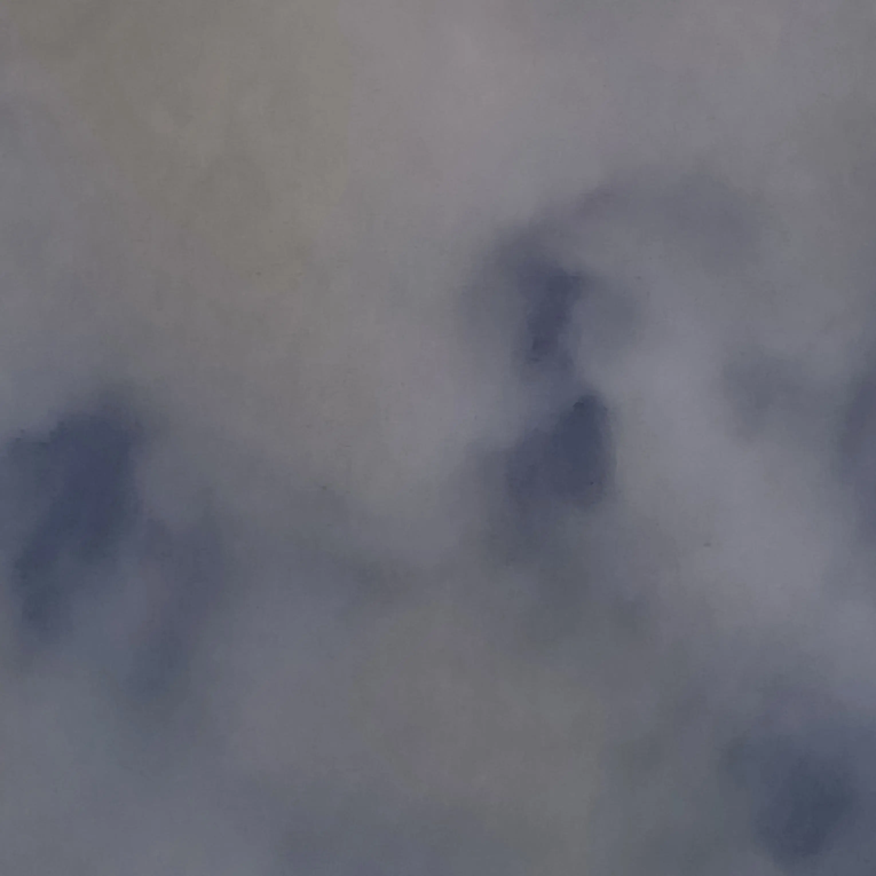 LivelyJuicy7577의 유유타이거