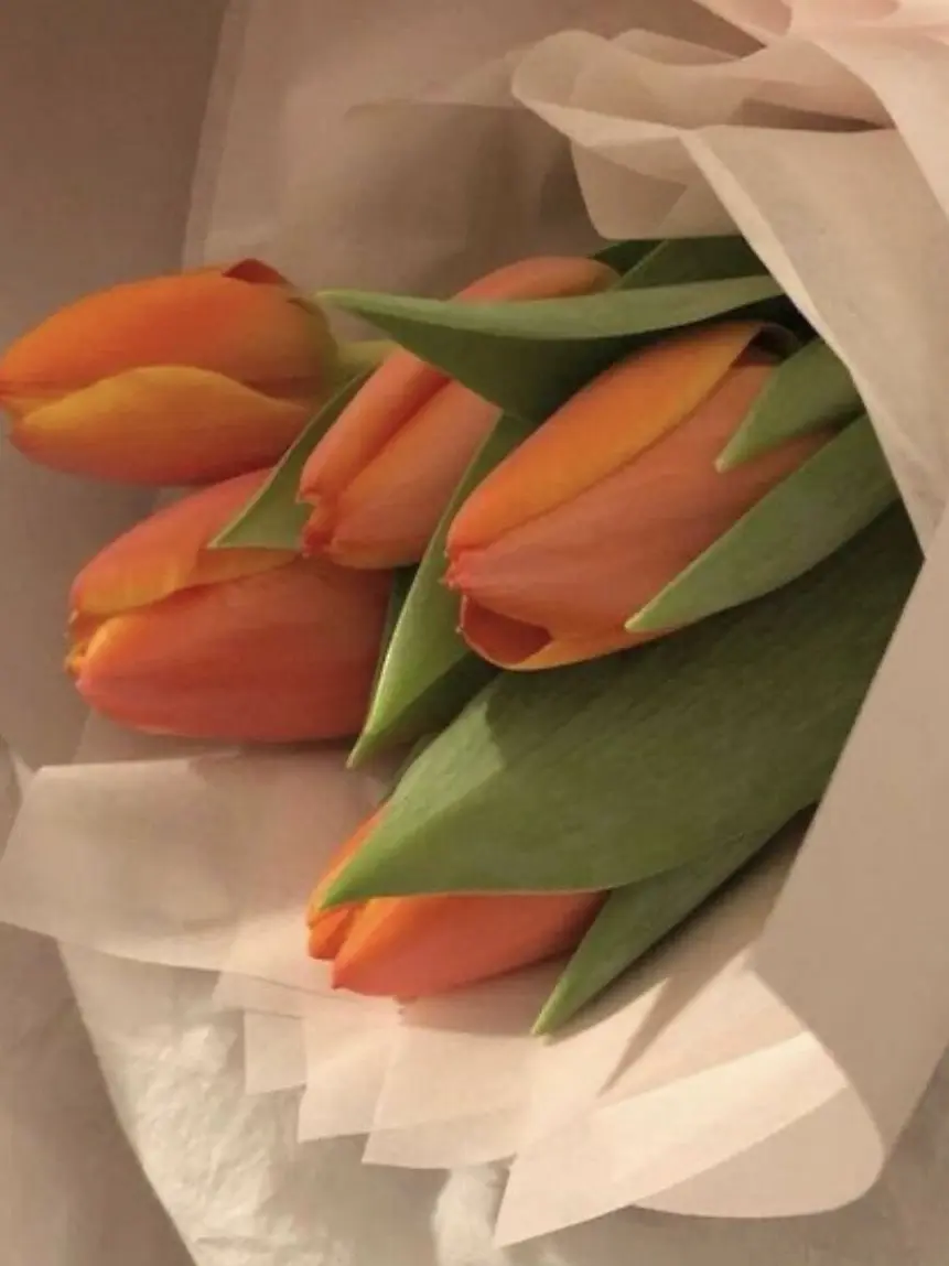 Muichirosatoruwife의 신호등조랑 동거하기