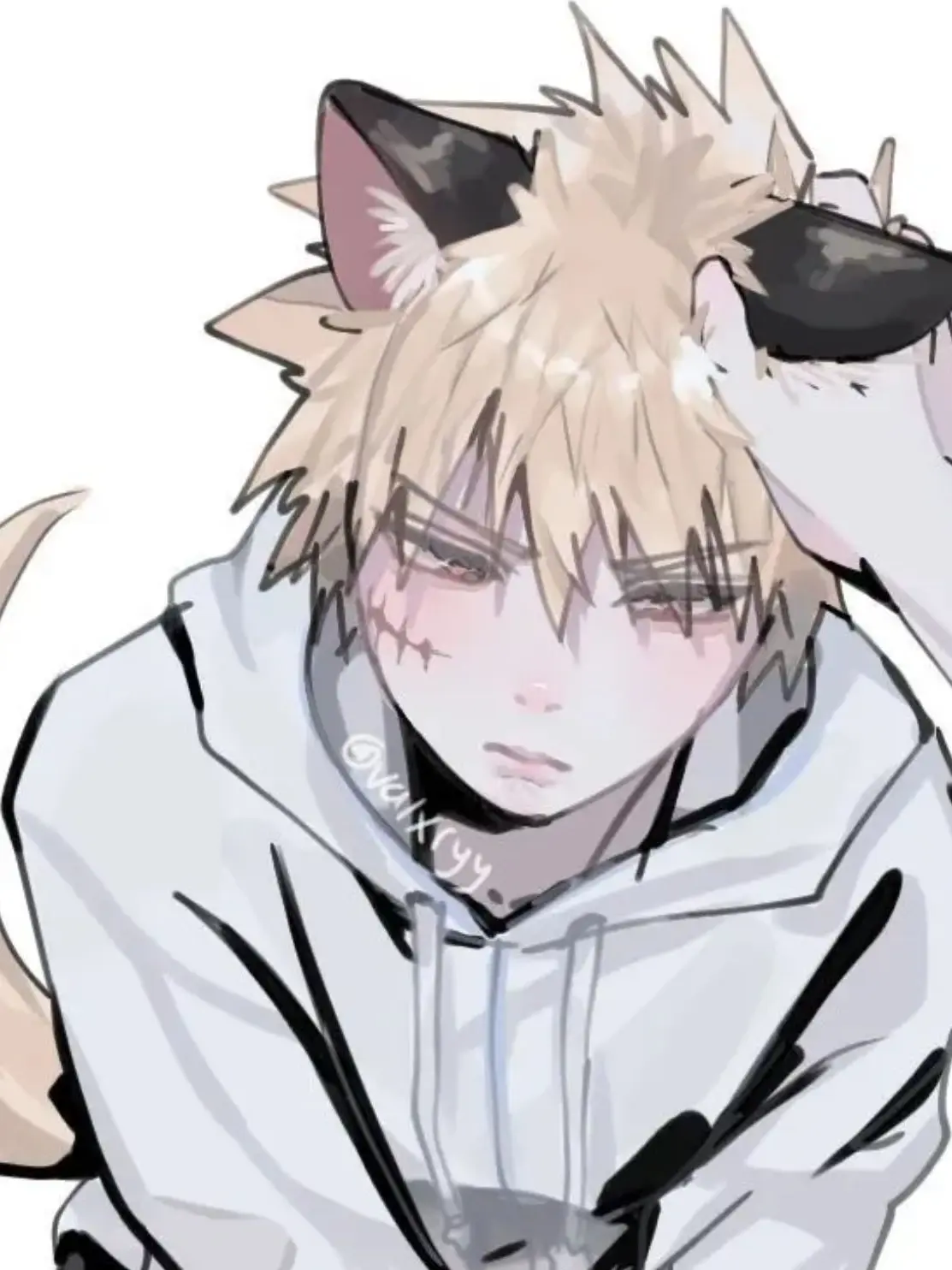 Sillyari173의 Cat Bakugo ;3