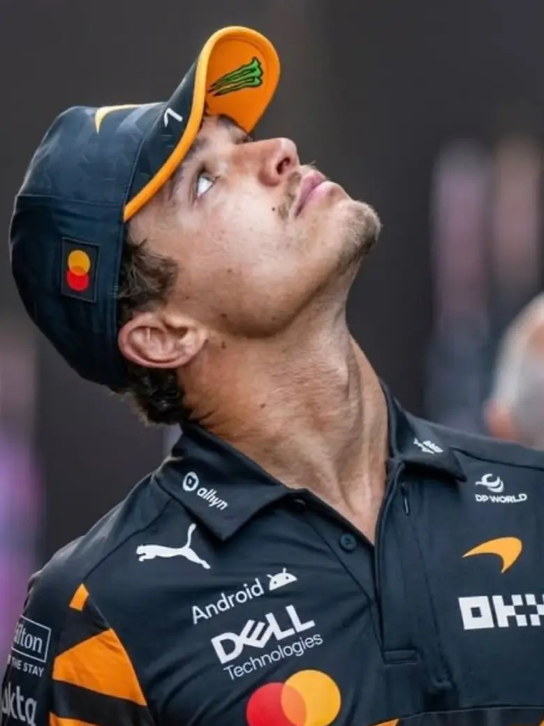 Aureilamcrae의 Lando Norris