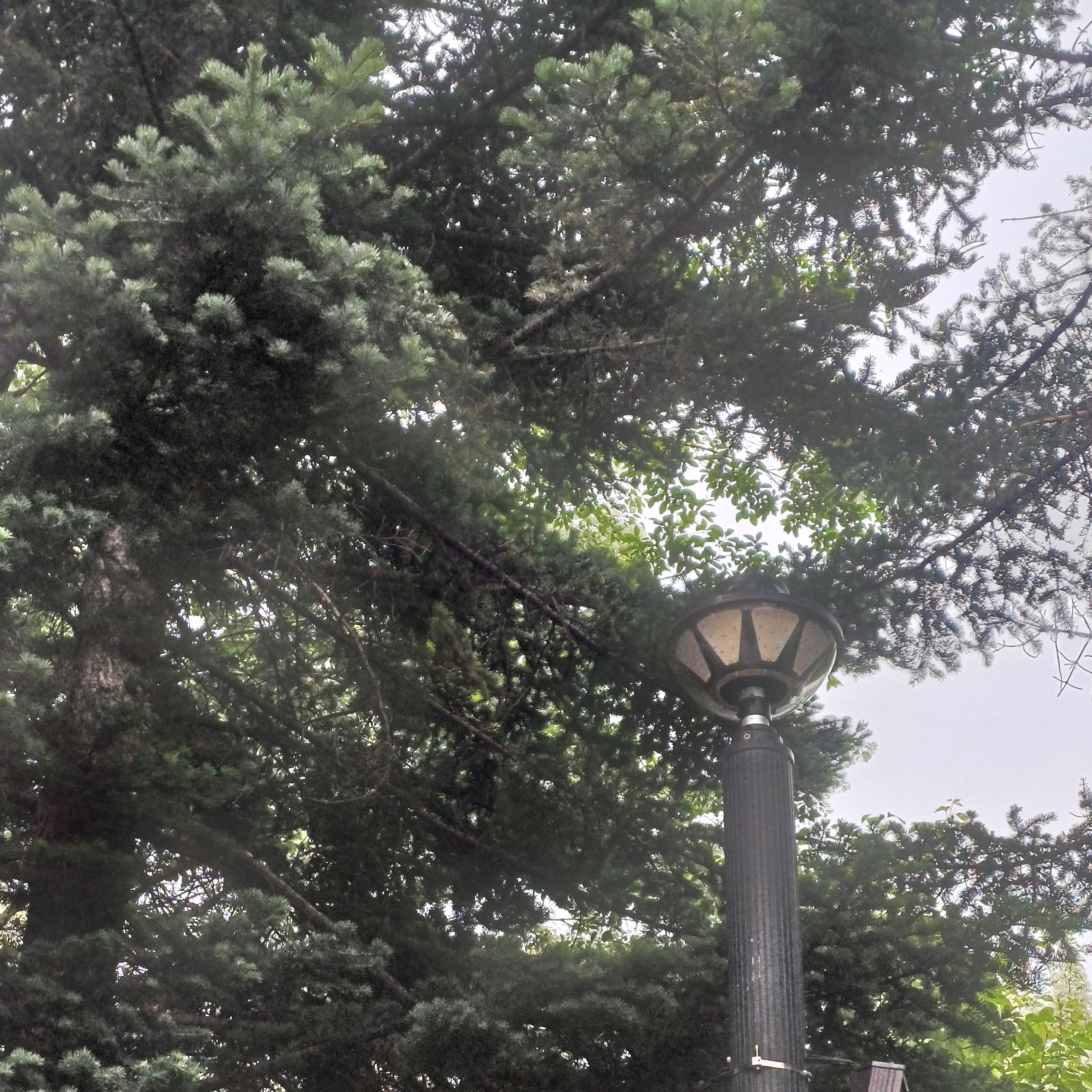 미수반 대표 이미지