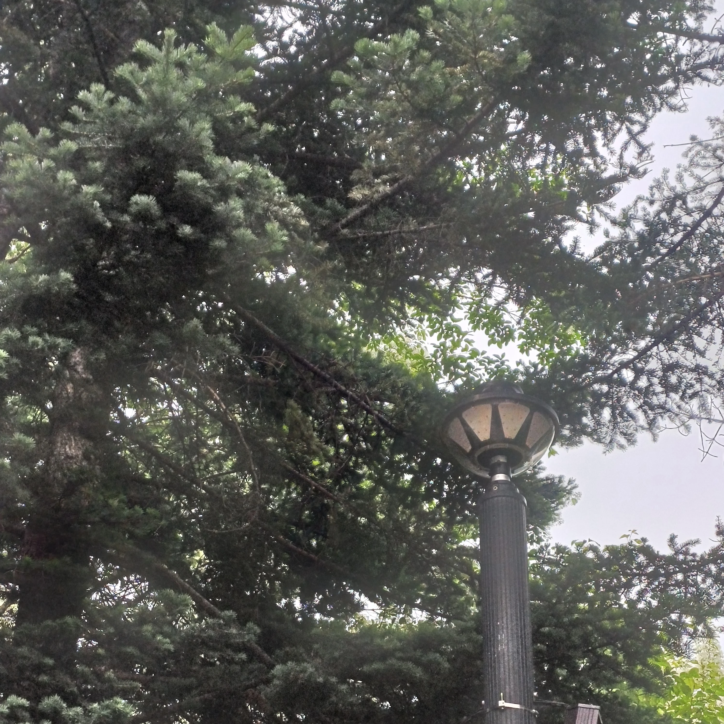 미수반
