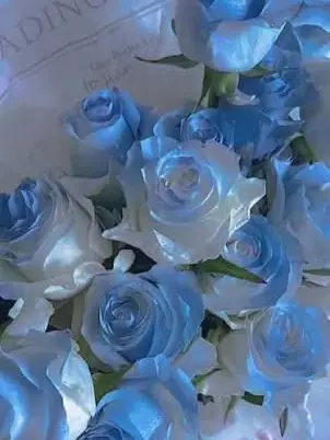 ramili0120의 ばにーさんは落としやすい