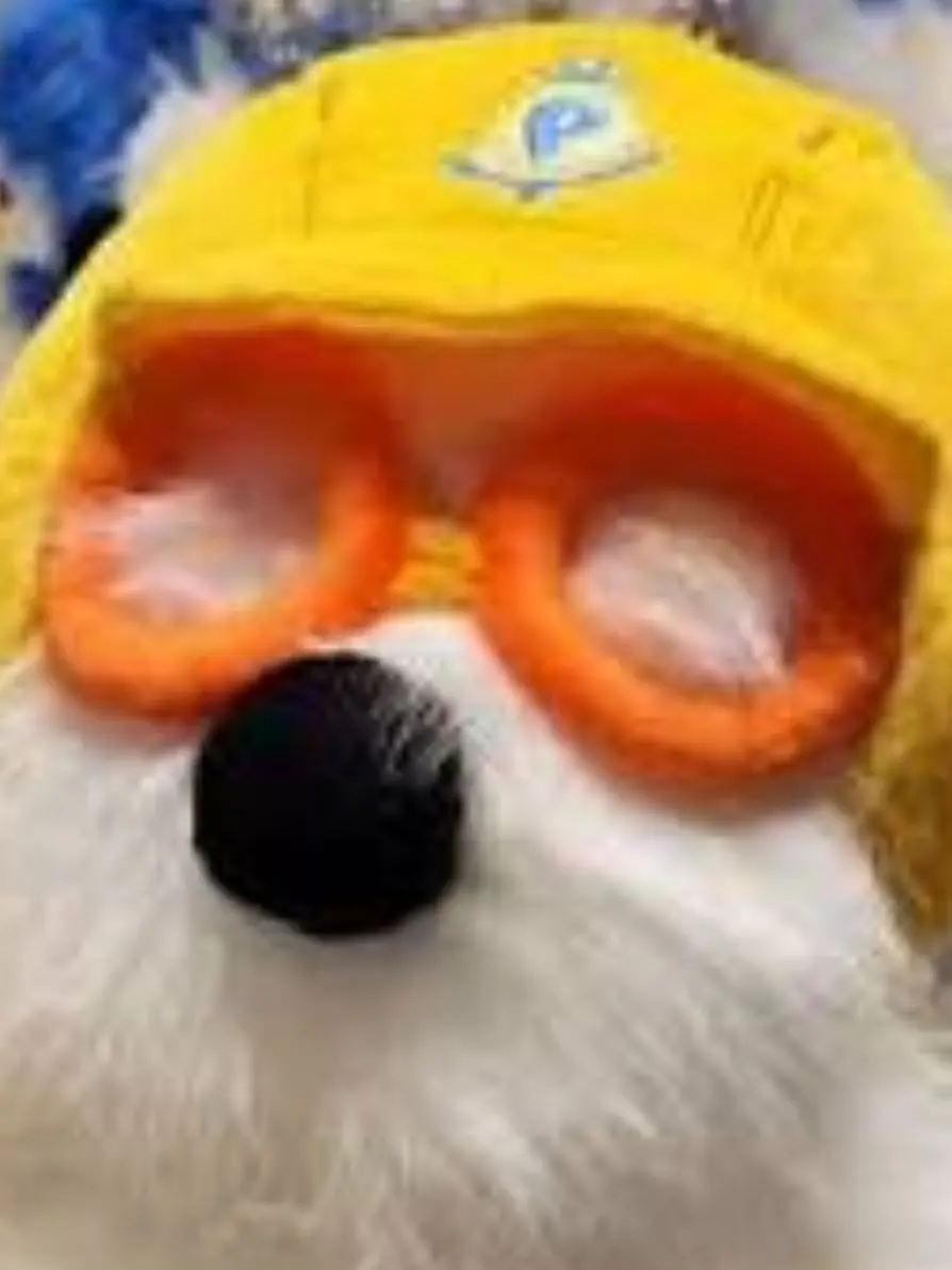 BlackLiger6390의 안녕 난 뽀로로야.