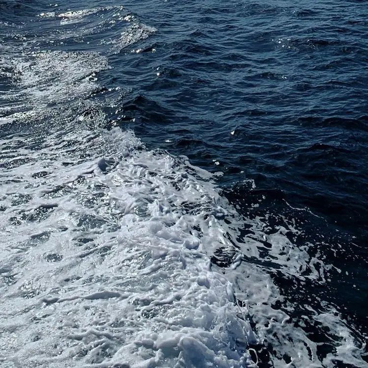 thewayout의 이웃집 좀비