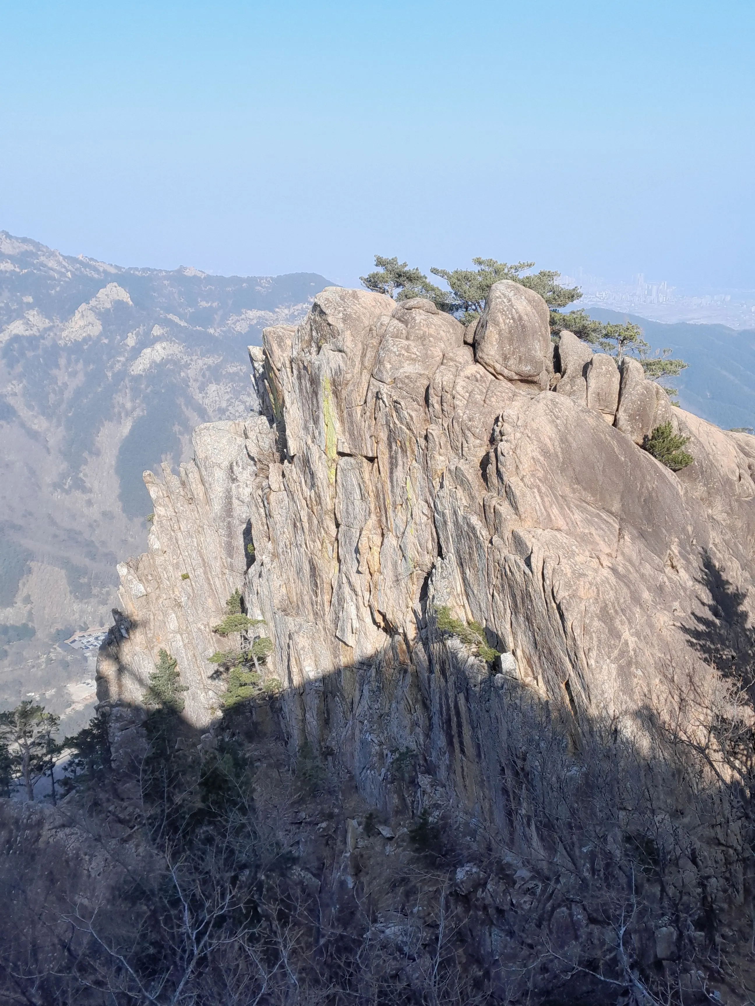 NimbleCold3867의 친오빠들^^(컨휴)