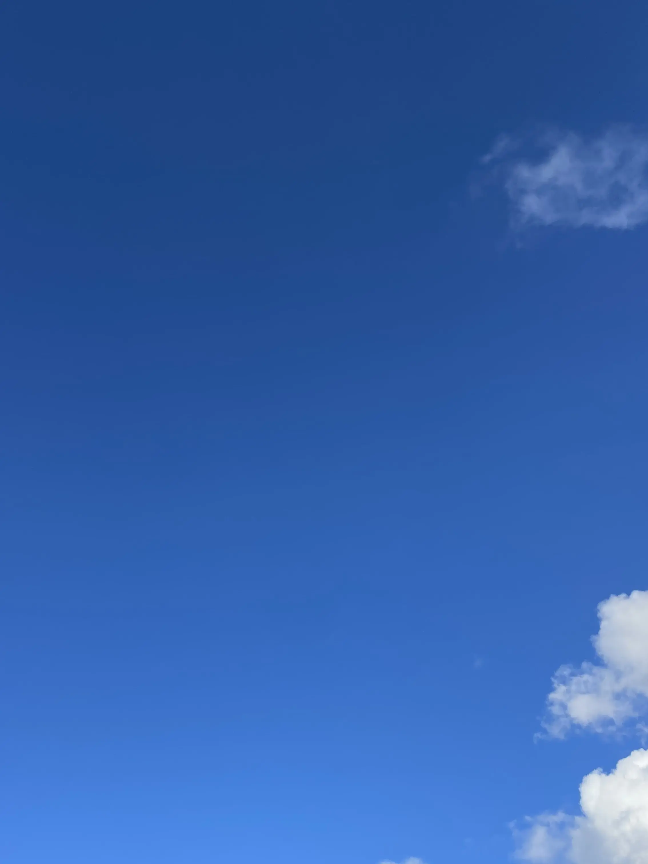 MaroonIbex7245의 미스터리 수사반..ㅎ (칼에 맞은)