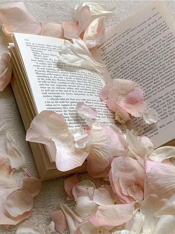 _o0.0o_의 아니, 근데 진짜, 너 예쁘다니까.