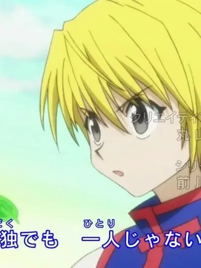 hunter-x-hunter의 헌터헌터