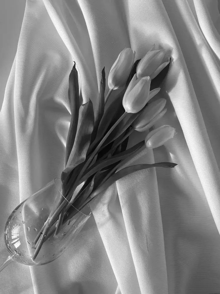 red_fox의 《그때의 우린 청춘이었다》