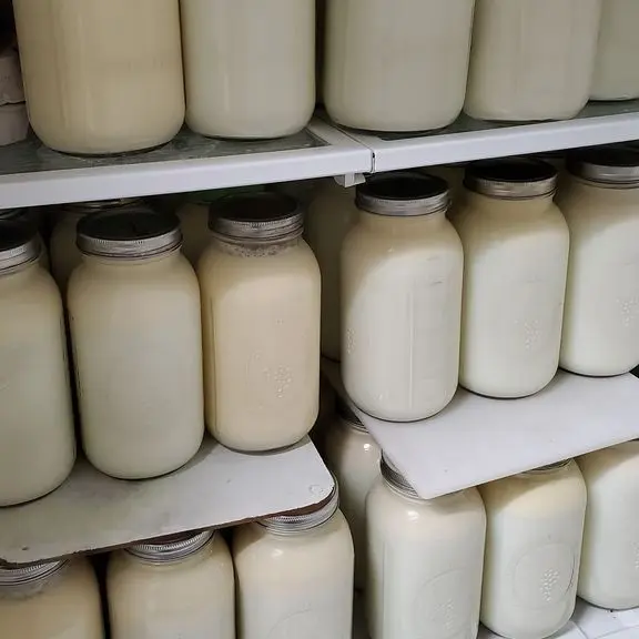 GummyUrine0026의 우유 농장 RPG