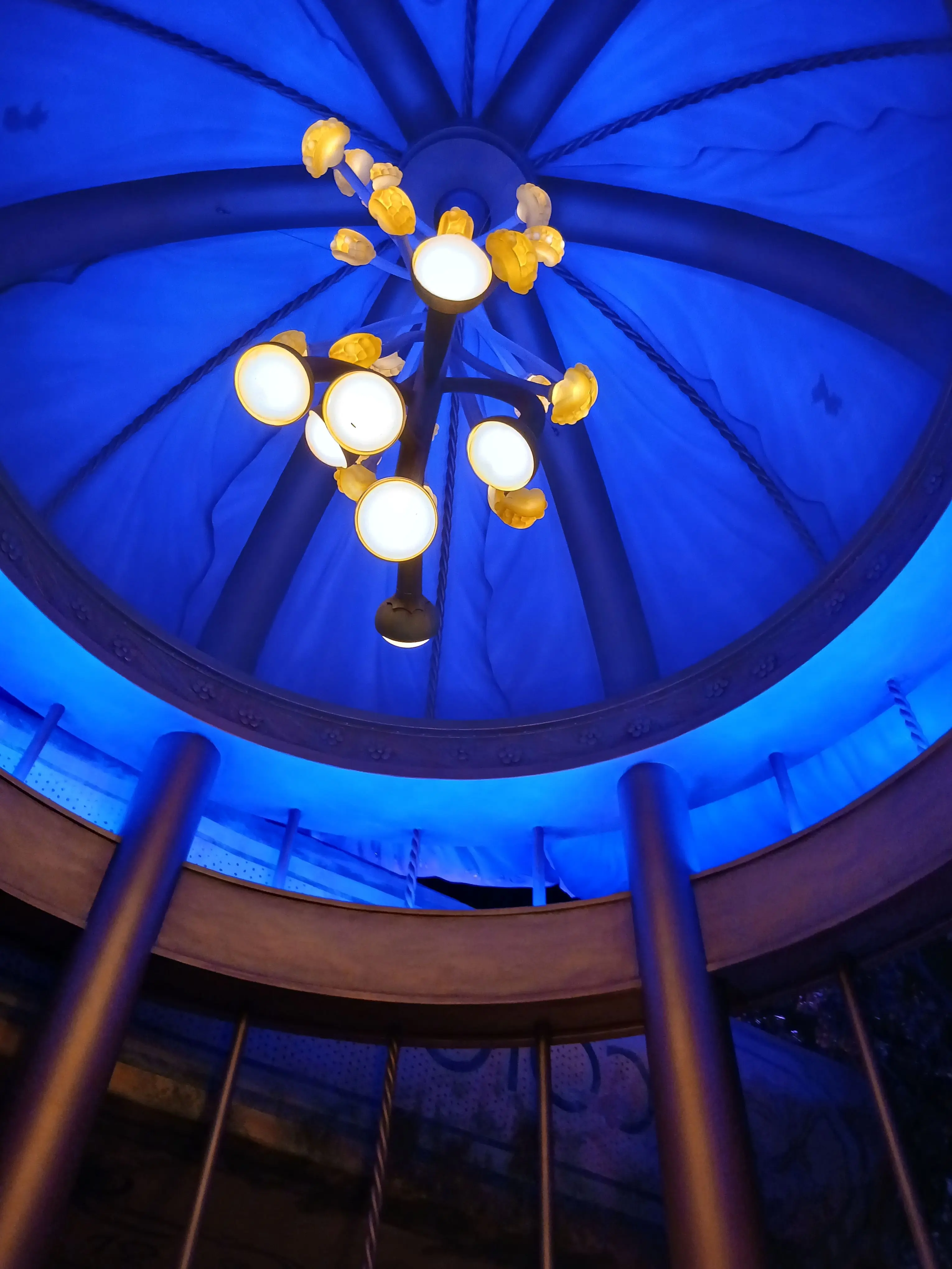 CasualApple5543의 …………だあれ？