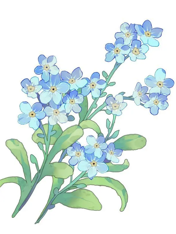 MildAunt5152의 °_나를 잊지마세요_°