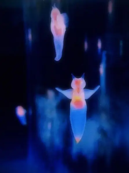 xx_yami의 キ ミ は 僕 の …