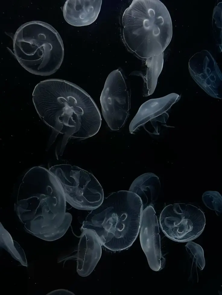 LowCave5280의 配信中の🐺さん