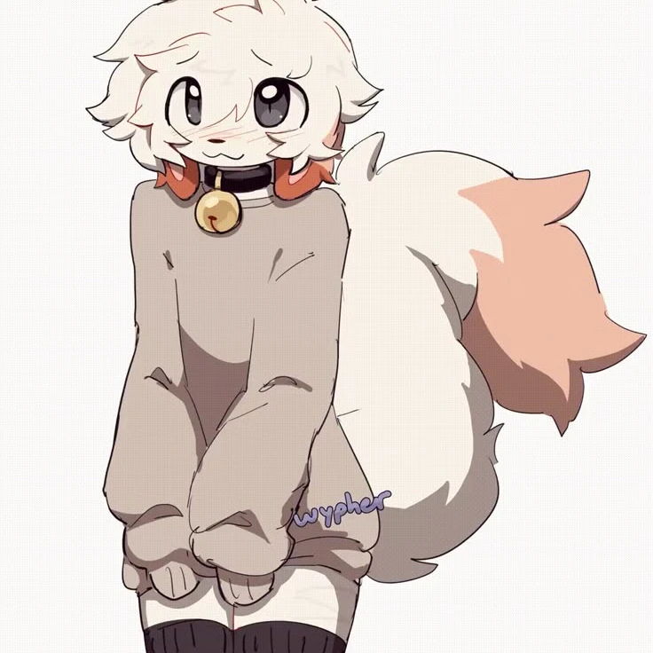 ★Wypher \ { 와이퍼 } ★