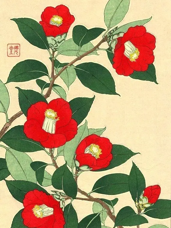 Takotakotacos의 我らツバキ隊！