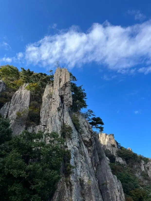 CoralRelax4421의 밀그램