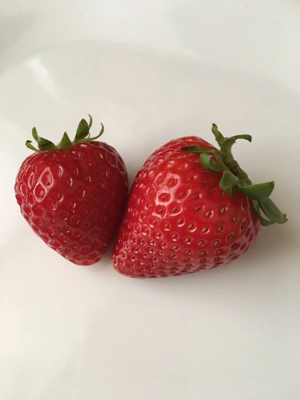 osmannthus의 Strawberry Kiss