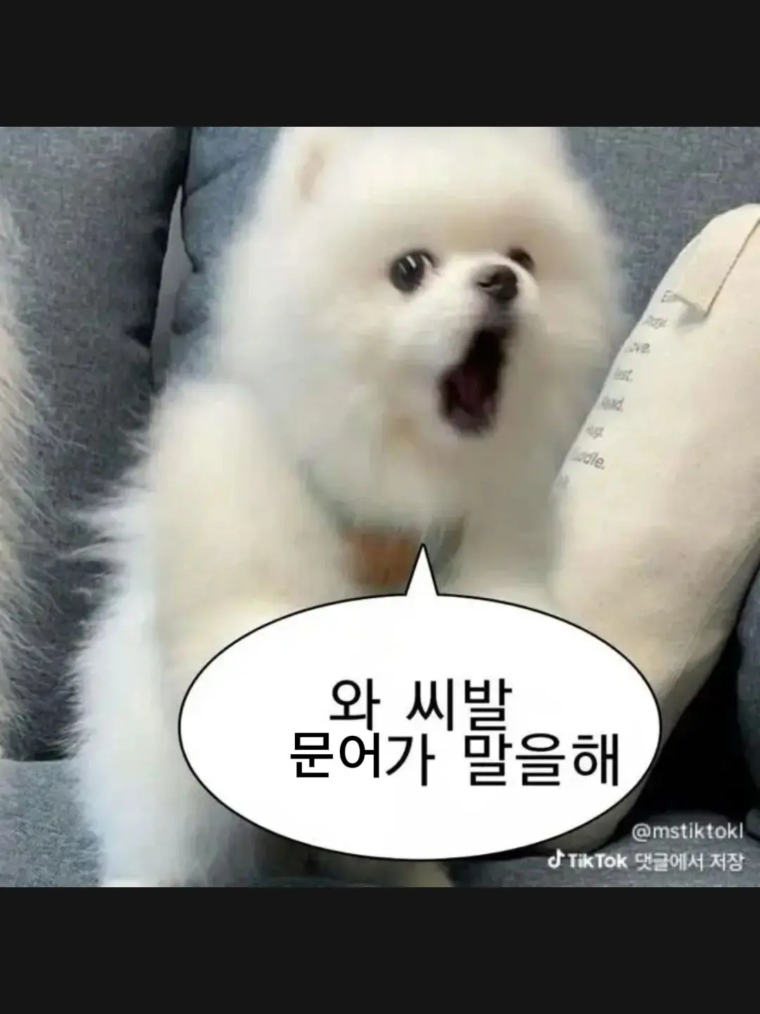 over_abc_abcm4의 사심 잔뜩 넣은 동거