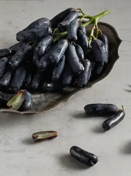 yeeroot의 블랙사파이어